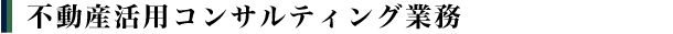 不動産活用コンサルティング業務